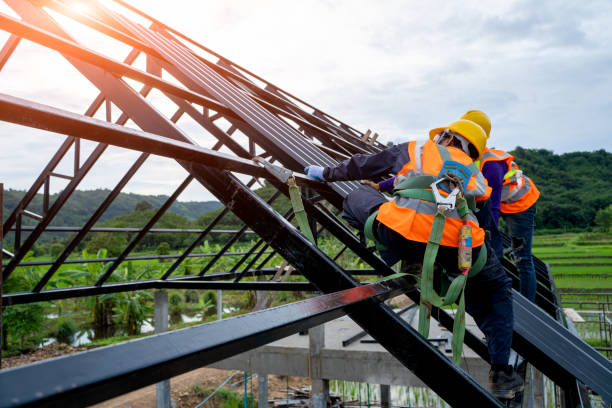 Best Roof Gutter Cleaning  in Lennox, SD